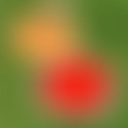 Summer Themed Crafts- This Time for Adults!