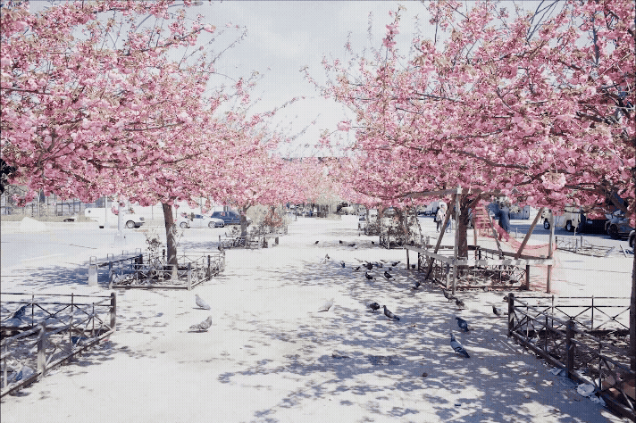 grace stop motion pigeonsnoborder (2).gif
