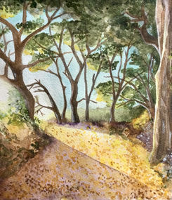 Golden Trails of Tilden (watercolor)