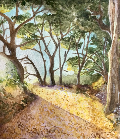 Golden Trails of Tilden (watercolor)