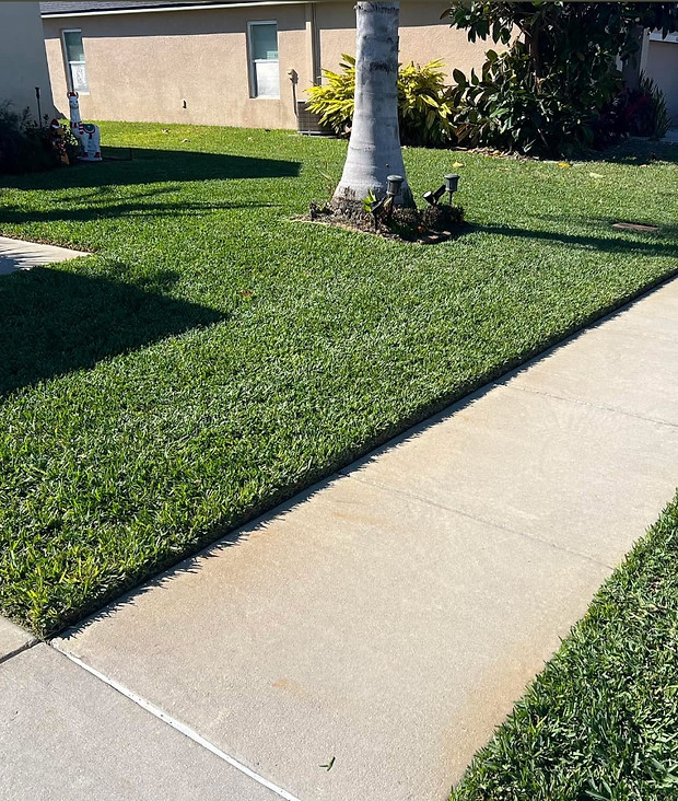 Professional lawn mowing service in Boca Raton