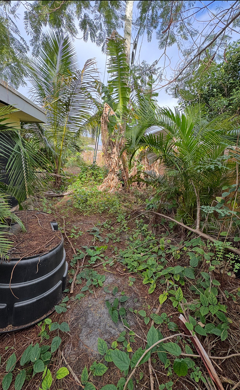 High-quality lawn care equipment used in Boca Raton