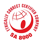 SA 8000 Logo