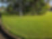 20250309_083537.jpg