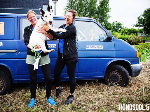 PEER, de dove bulterriër