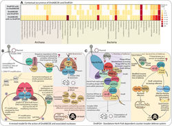 gkad1213_hq_page-0018