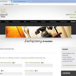 Rys. 2b. Front-end witryny w języku polskim