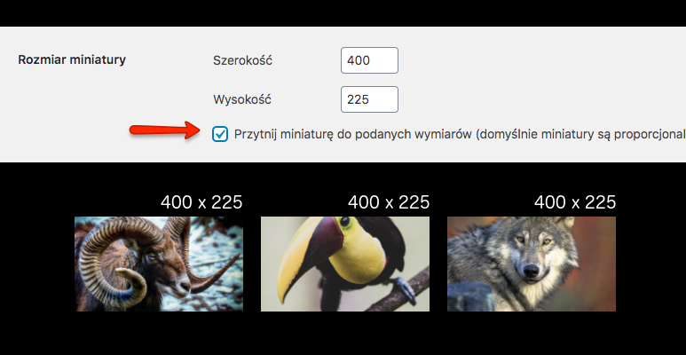 Jakie miniatury zostaną utworzone przy ustawieniach szerokość 400, wysokość 225 i włączonej opcji przycinania miniatur