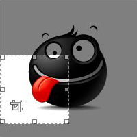 Kadrowanie zdjęć WordPress