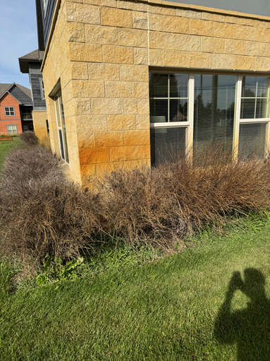 house exterior cleaning