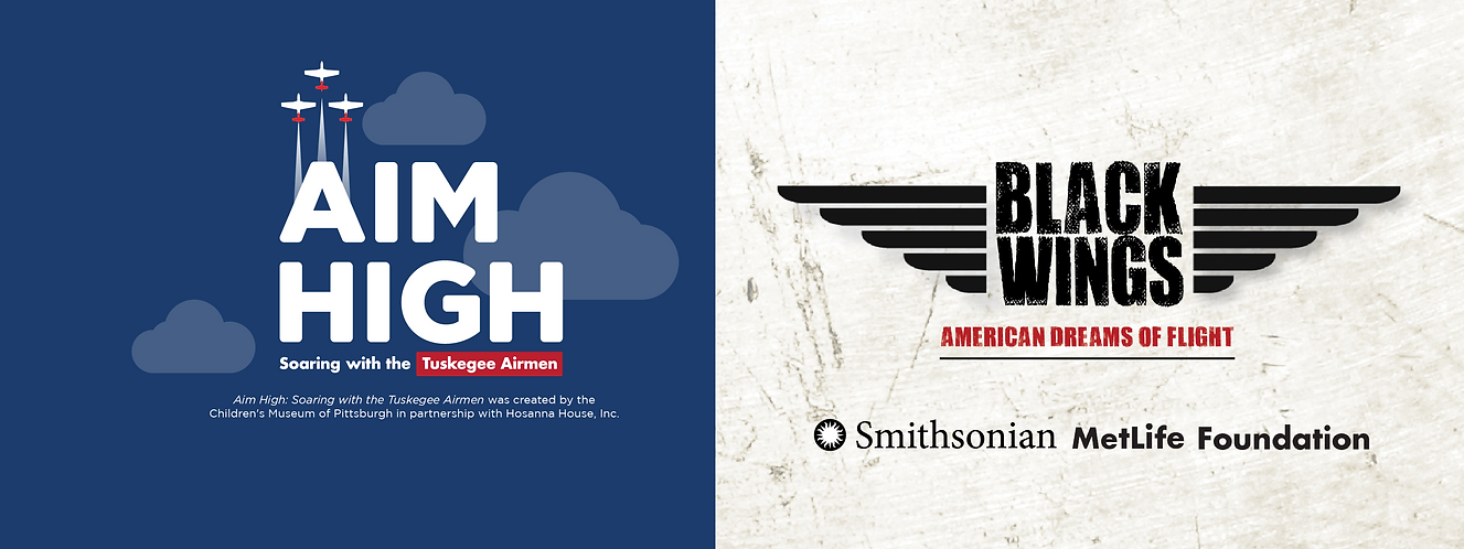 aimhigh_blackwings_webbanner_3000x1125.png