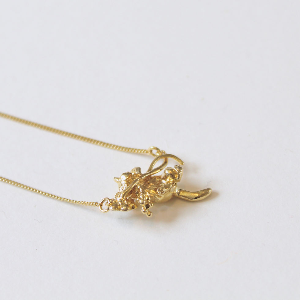 Thumbnail: Nobody's - the cat, with Tanzanite bloom