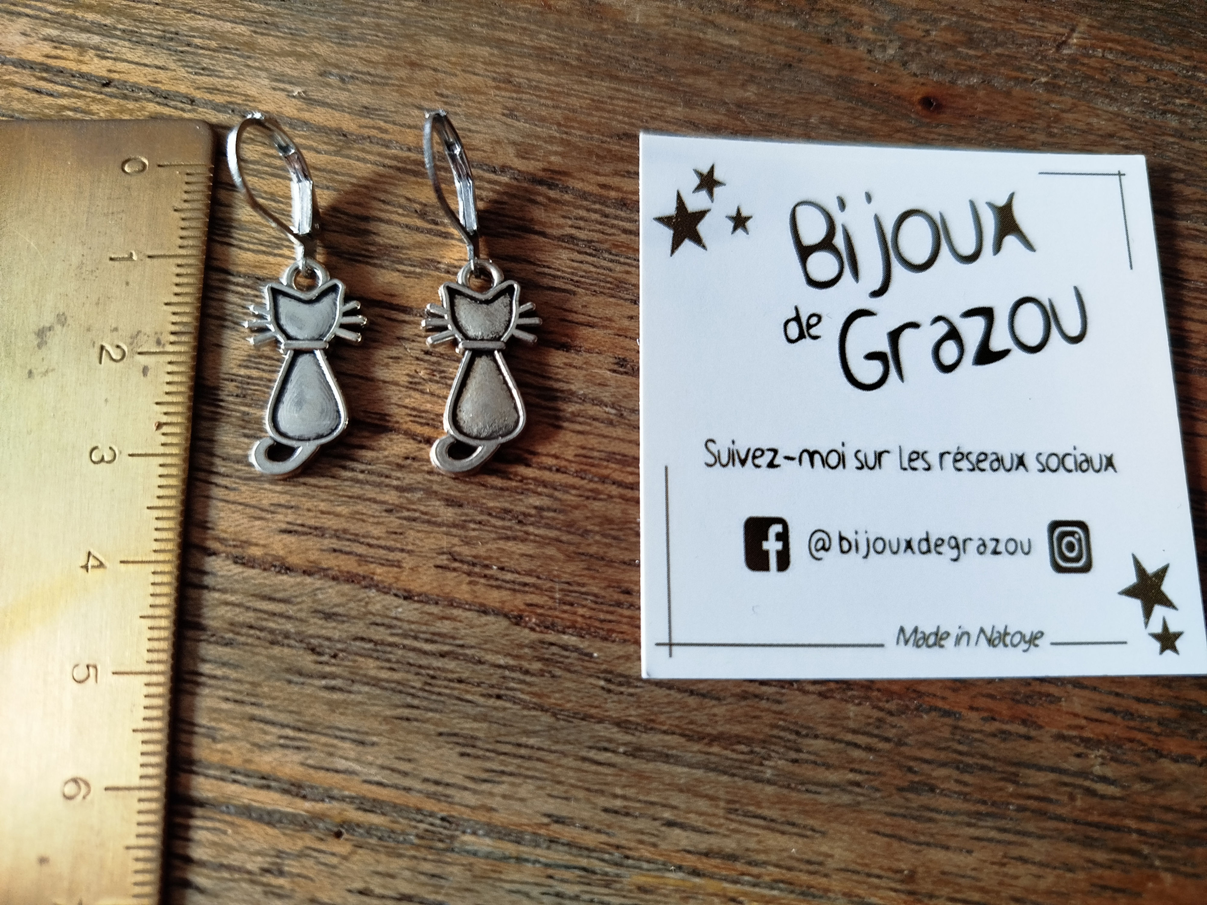 Boucles d'oreilles 😺