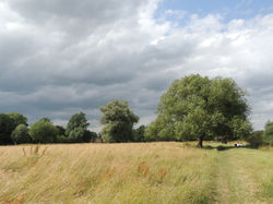Grantchester