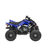 Thumbnail: 2025 YAMAHA RAPTOR 110