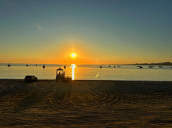 IMG_1441