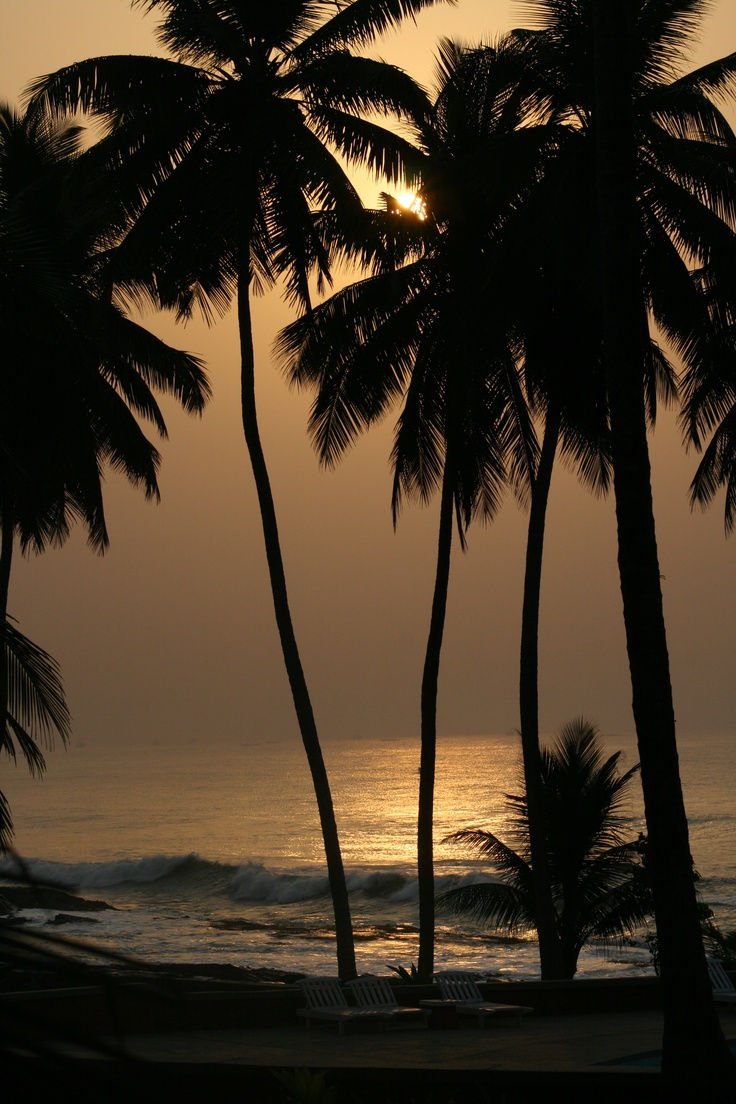 A Dream In Goa