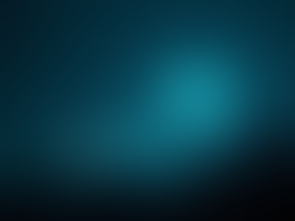 Is It a Bird, A Plane or a UFO?