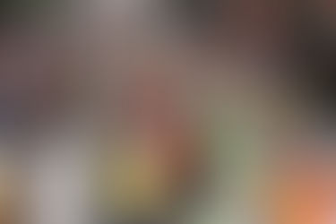 Solidaridad efervescente
El otro lado del sismo