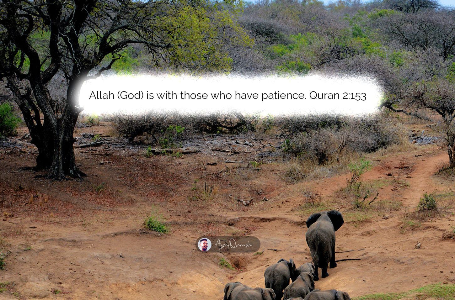 Automata HD_Data Set 40.jpg