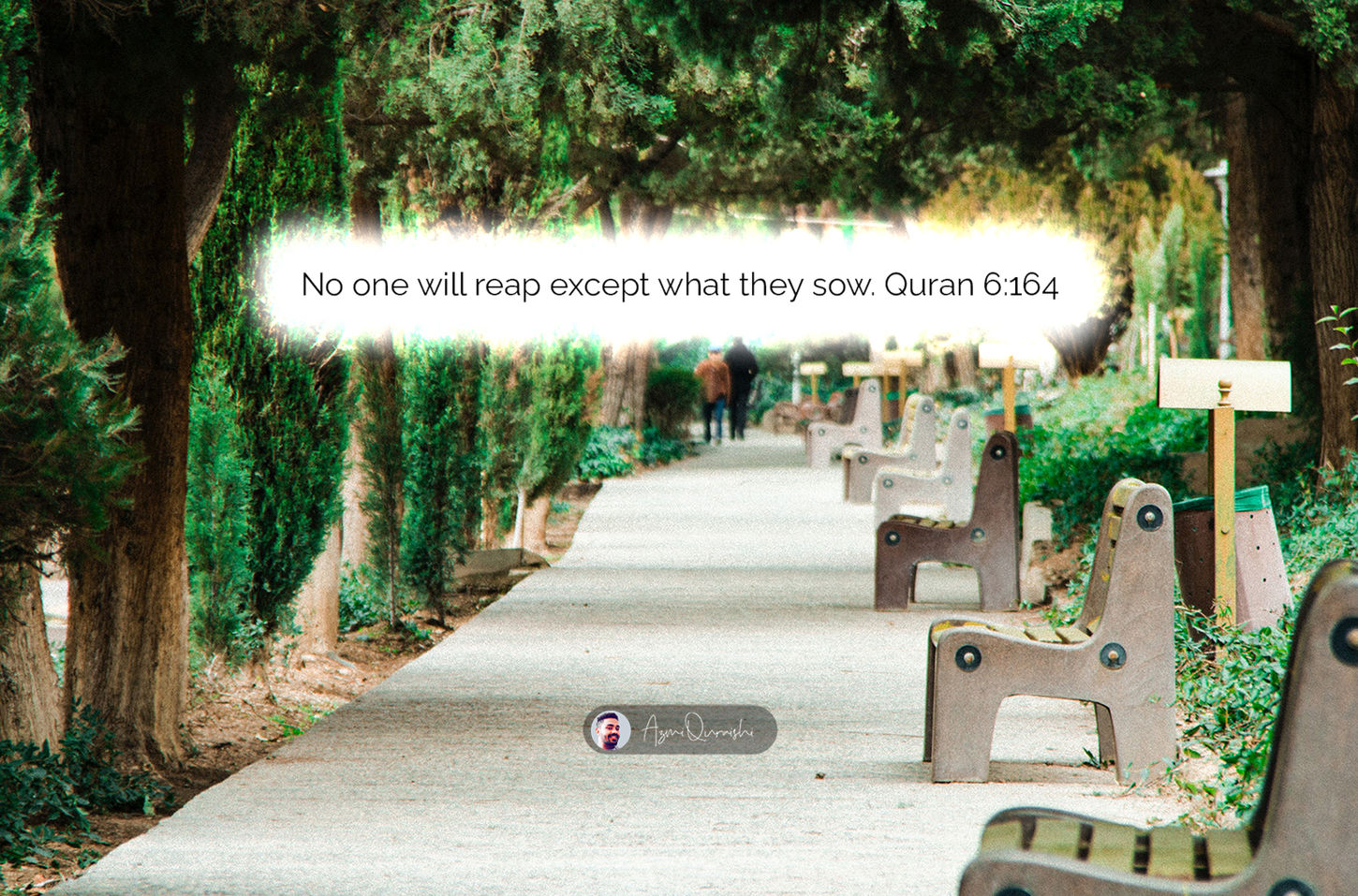 Automata HD_Data Set 28.jpg