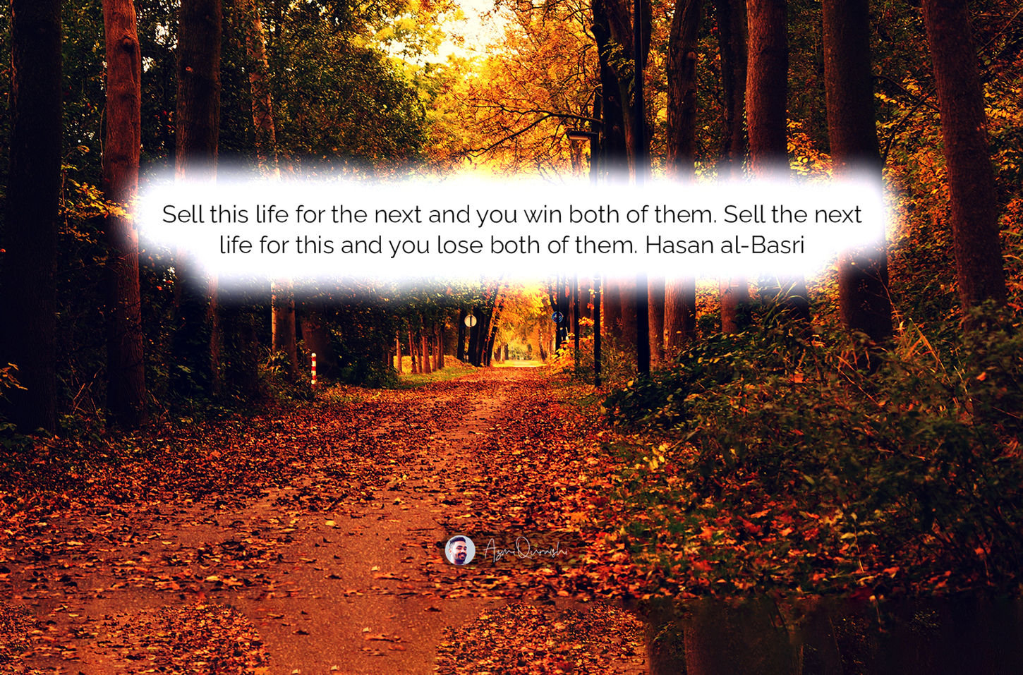 Automata HD_Data Set 43.jpg