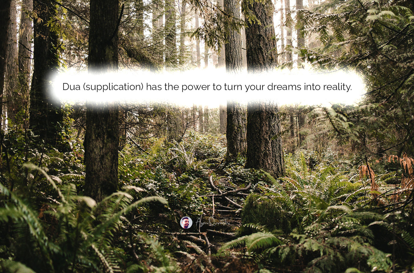 Automata HD_Data Set 47.jpg