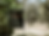 The Woods - Weddings (1).png