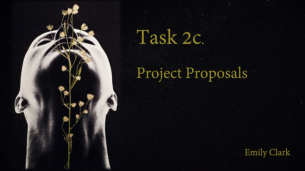 Task 2C. Project Proposals