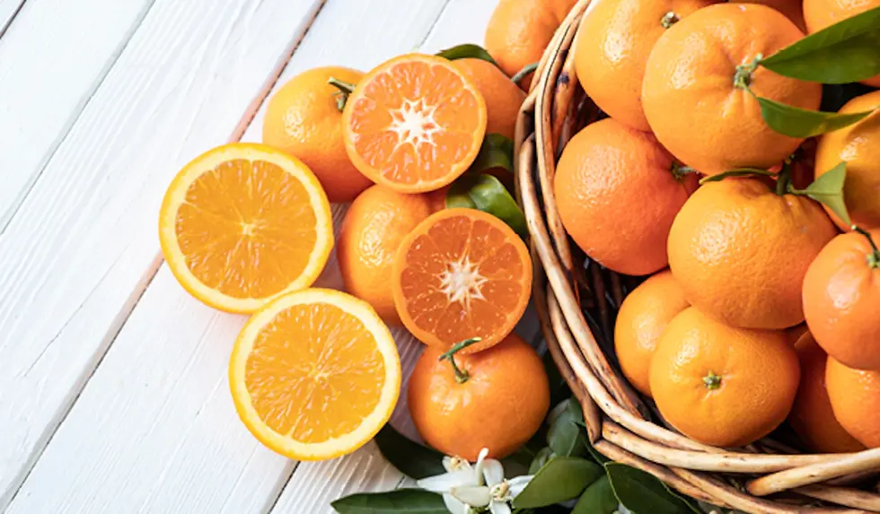 Why-you-must-eat-an-orange-every-day_mobilehome.webp