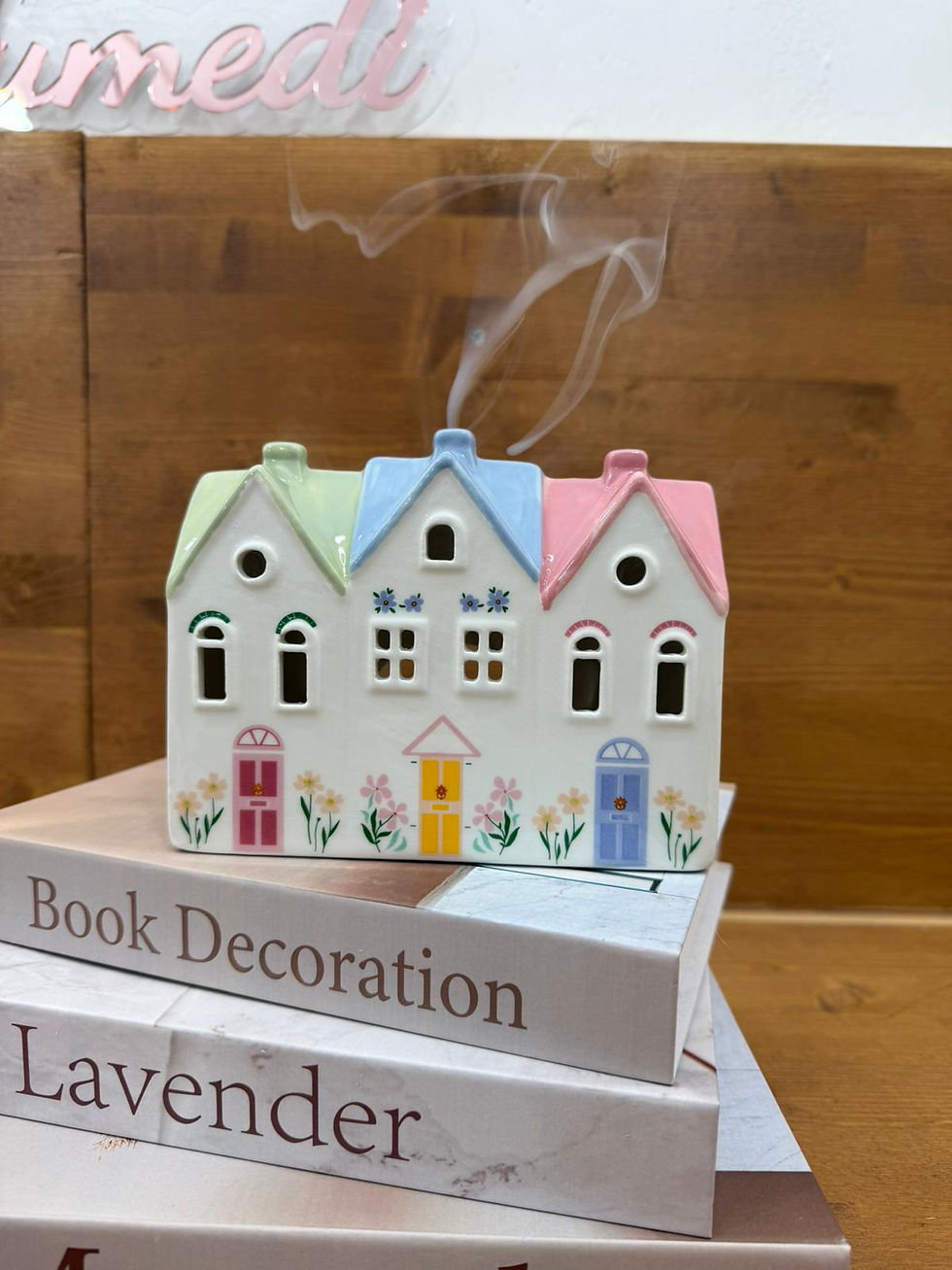 Miniatura: CASETTA PASTELLO PER INCENSI A CONI