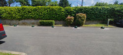 image0000011 (1)