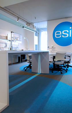 PageImage-500828-2809421-ESI04