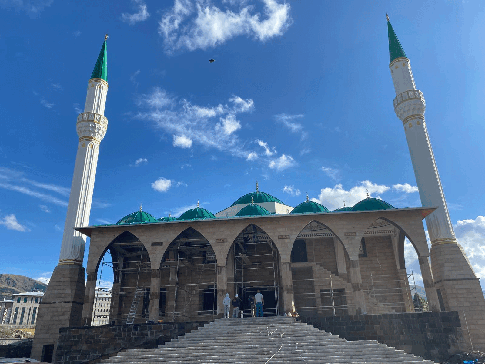 WhatsApp Image 2024-11-12 at 20.01.24.gif