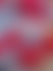 Antidepressants more efficient than placebo