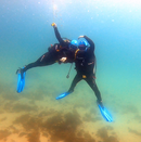 IMG_9433.MP4_000004020.png