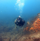IMG_9034.MP4_000003520.png