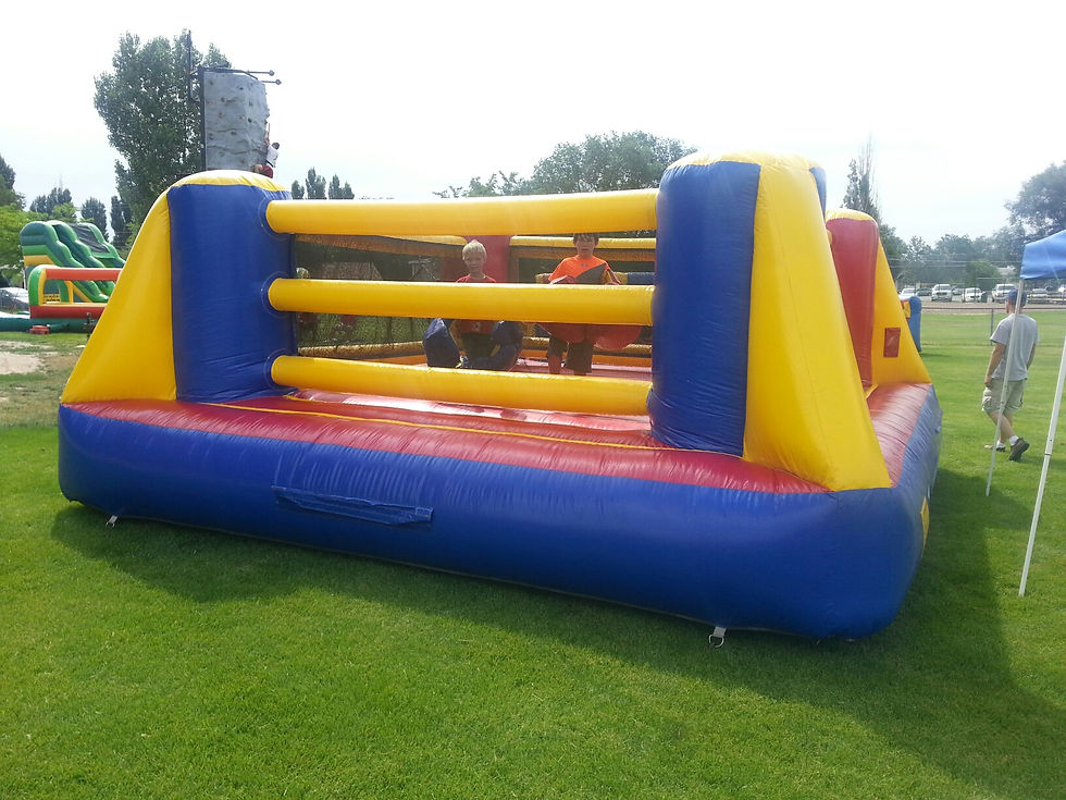 Boxing Ring $250.00/4 Hour Rental