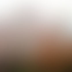 Wéi een Medium fir d'Fotografie?