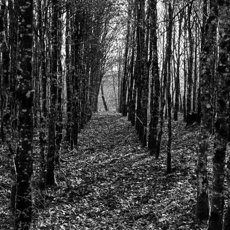 Minett Trail