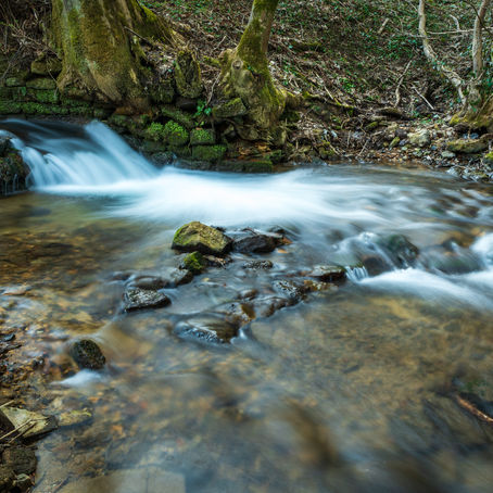 Zowaasch - sentier de la Crosnière