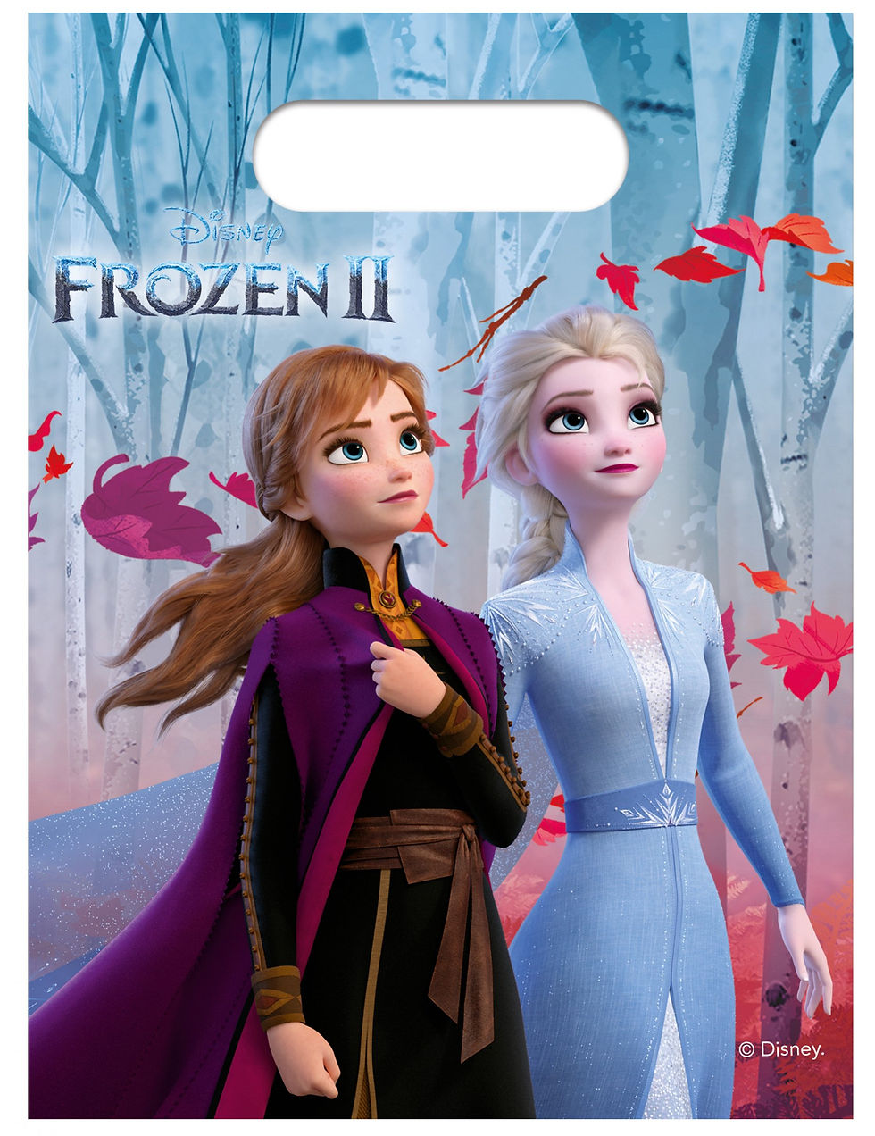 6 Sacs cadeaux en plastique La Reine des Neiges 2™ 23 x 16,5 cm