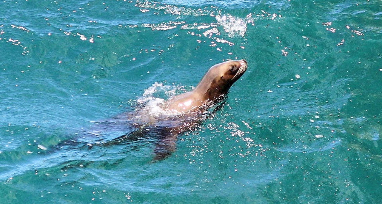 Puerto Madryn