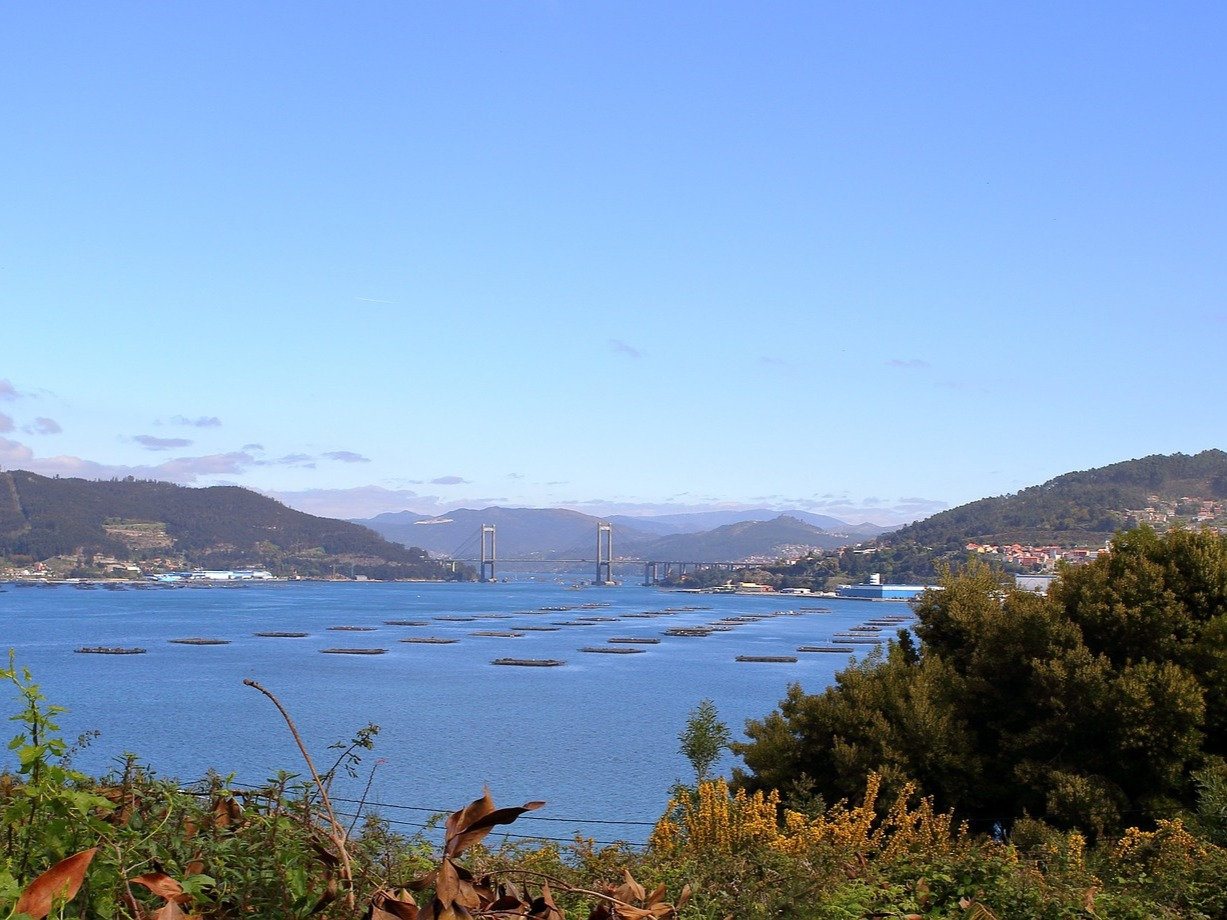 Villagarcia de Arosa, Spain Tours with Local Private Tour Guides