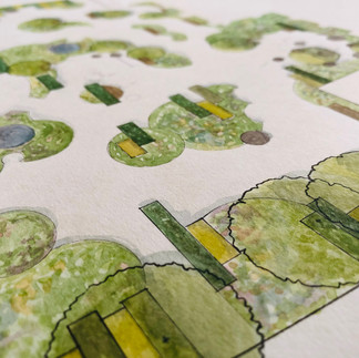 Garden design drawing devon