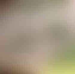 Garden design drawing devon