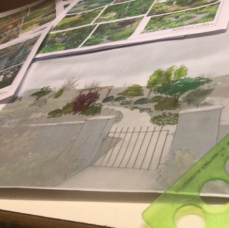 Garden design drawing devon
