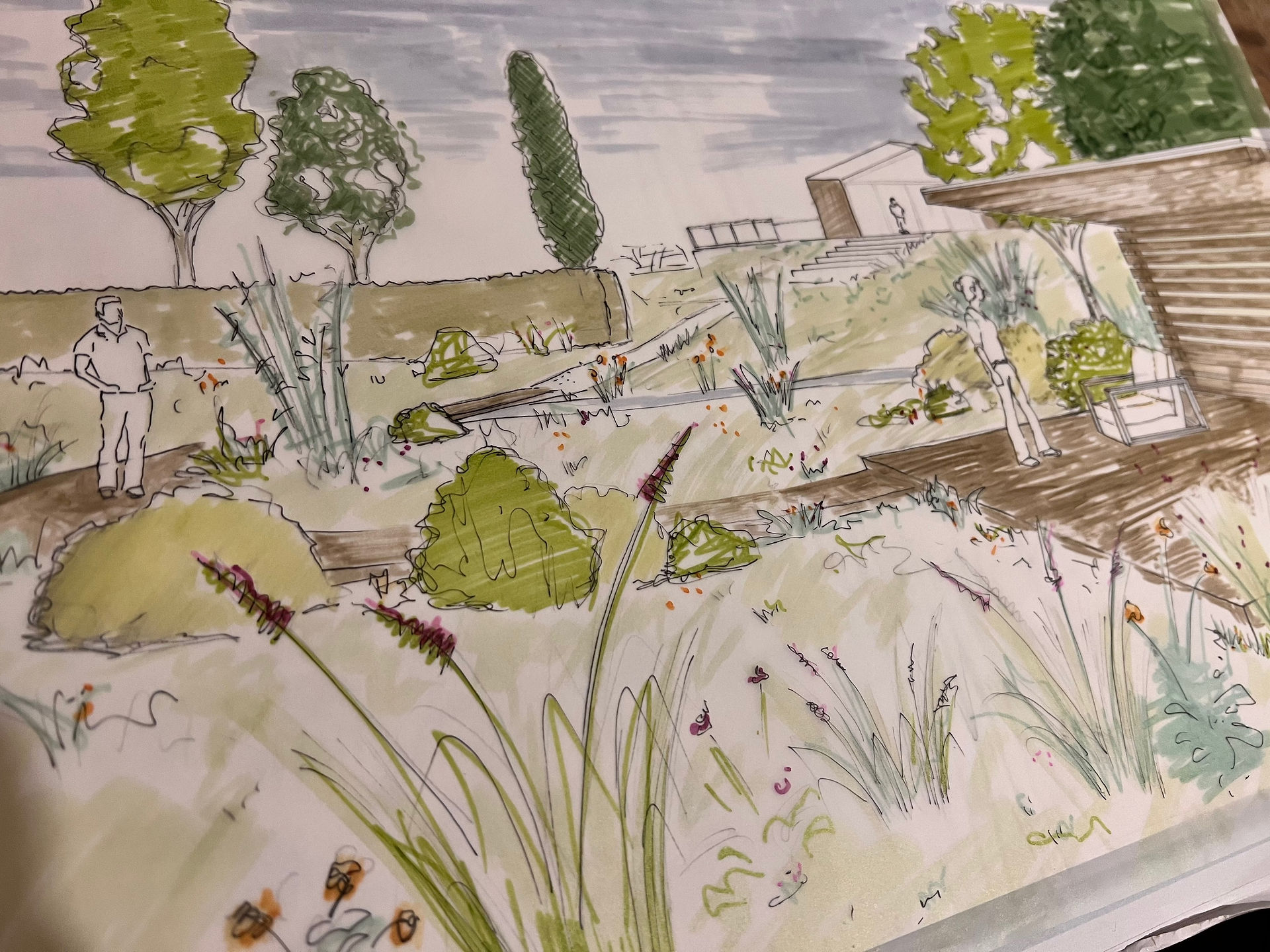 Garden design drawing devon 