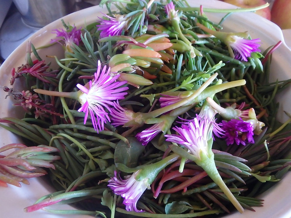 Thumbnail: Mermaid Mix