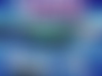 3/6発 マグ万平さん/添乗員同行　タナカカツキさん監修　本場フィンランドサウナ旅